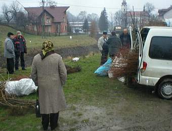 Akcja rozdawania drzewek w dniu 23 marca 2007 r.